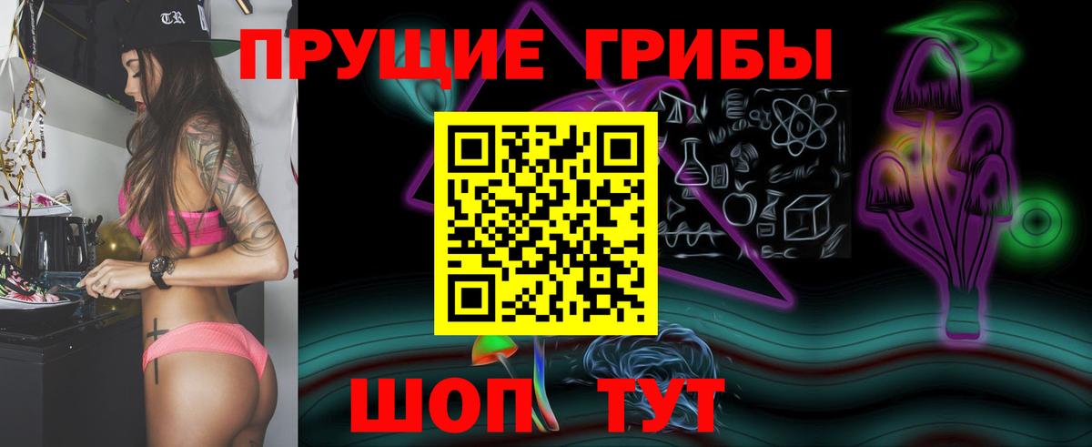 Магадан  Галлюциногенные грибы Psilocybe  Вход с VPN  Галлюциногенные грибы GOLDEN TEACHER 