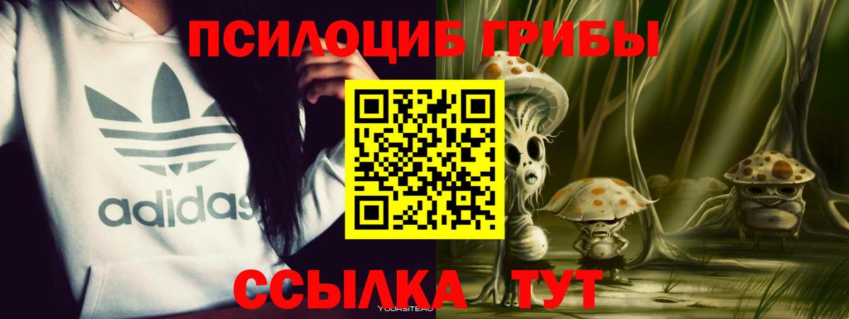 Галлюциногенные грибы Magic Shrooms Магадан